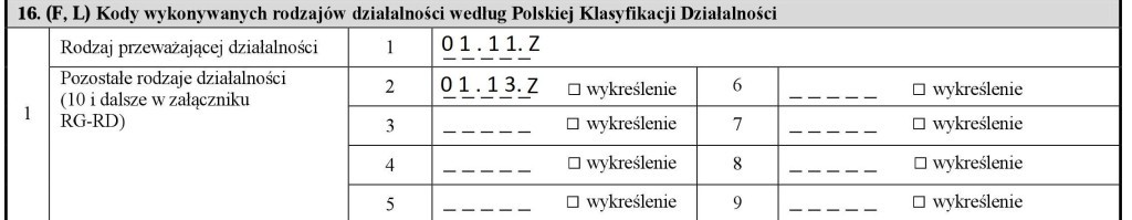 Kody wykonywanych rodzajów działalności według Polskiej Klasyfikacji Działalności